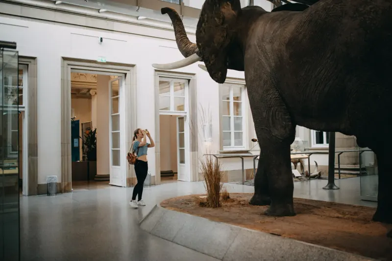 Marvin Stellmach - Fotograf aus Bremen
