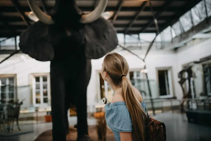 Marvin Stellmach - Fotograf aus Bremen