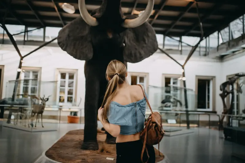 Marvin Stellmach - Fotograf aus Bremen